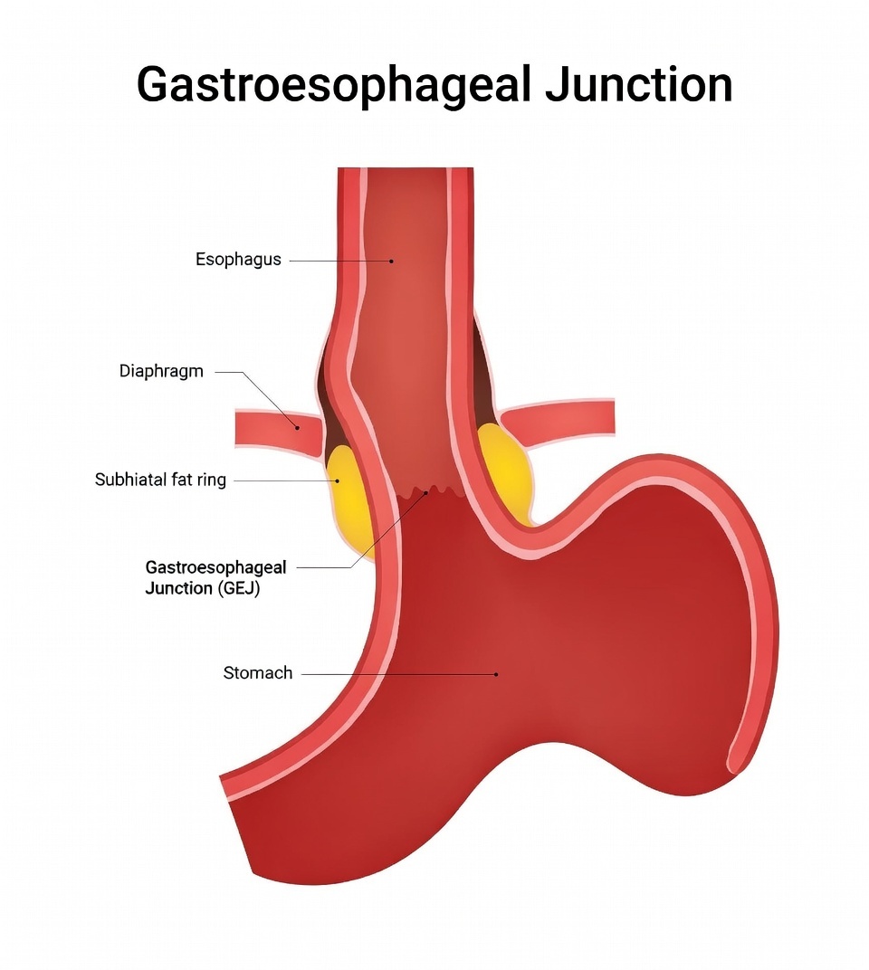 Medical professionals performing therapeutic intervention